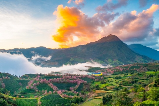 Gần cuối năm rồi, xách balo lên Sapa ngay bạn thân ơiiii 