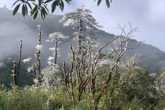 ĐỈNH TRỜI FANSIPAN ĐÓN NHỮNG ĐỢT BĂNG TUYẾT ĐẦU TIÊN