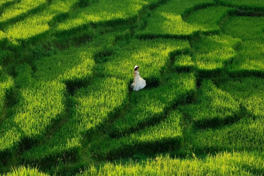 Một chút SaPa tháng 8