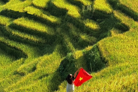 Giữa mùa vàng óng ả của Sapa