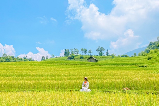 Nậm Cang - Thương nhớ một mùa lúa chín