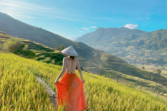 Cập nhật tình hình lúa Sapa - Lao Chải - Tả Van 