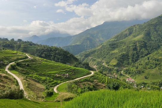 Mùa lúa xanh Tả Van đến đâyyyyy