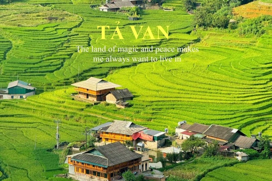 Sapa bước vào đầu tháng 8 với một màu xanh mướt 