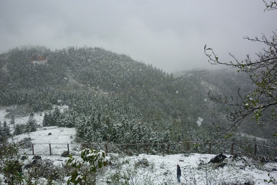 Đến Sapa ngắm thiên đường tuyết rơi