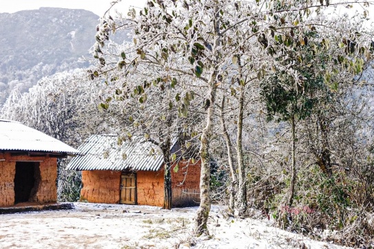 Đừng bỏ lỡ một mùa tuyết trắng thơ mộng tại Y Tý - Sapa 