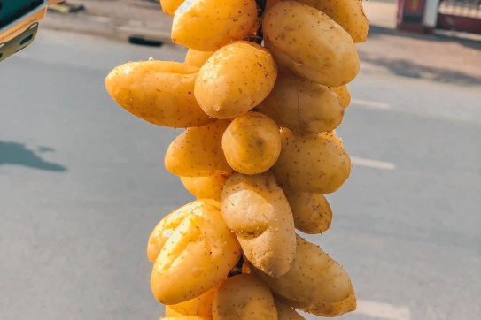 Củ lùn (Sóc Trăng) nghe tên thật "ngồ ngộ"! 