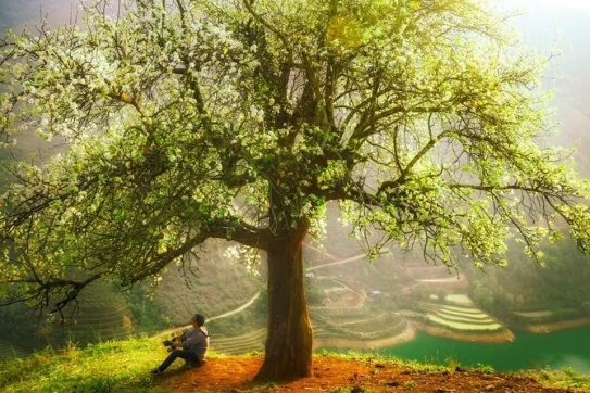 Bản Nậm Nghiệp mùa táo mèo | Bình yên dưới chân núi Tà Chì Nhù 