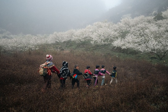 Những đứa trẻ trong sương