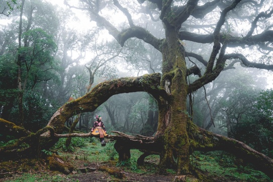 Trekking Sa Mu - U Bò | Rừng rêu cổ kính! 