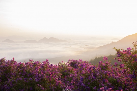 Săn mây tại Đồi Sim, Suối Bon, Vân Hồ