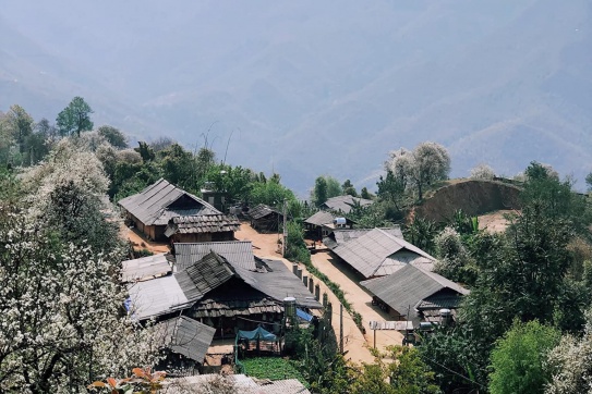 Lạc chân tới vương quốc hoa Sơn Tra - Nậm Nghiệp