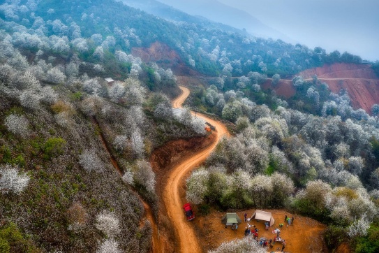 Nậm Nghiệp (Sơn La) | Hoa nở lưng đồi
