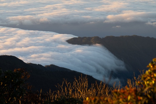 Trekking đỉnh Sa Mu - U Bò 2756M