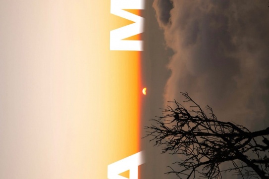 Khu rừng cổ tích Sa Mu