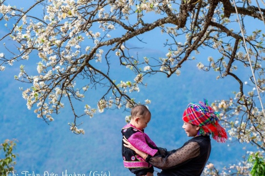 Check in mùa táo mèo