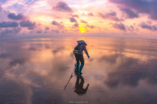 Mưu sinh dưới ánh bình minh...