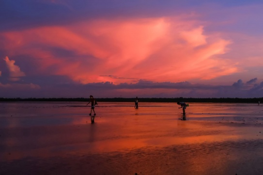 BÌNH MINH TRÊN BIỂN