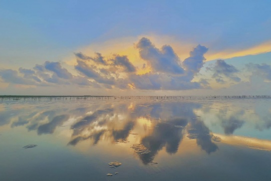 Quê lúa Thái Bình