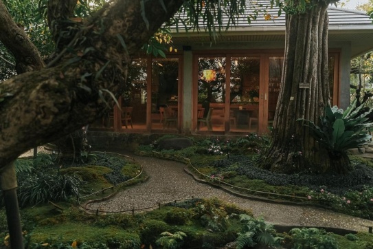 Quán Cafe đẹp mê mẩn y như "khu vườn địa đàng" tại Thái Lan