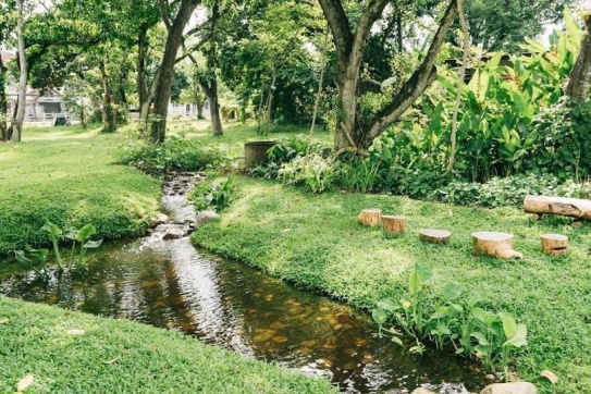 Thái Lan | Quán Cafe có không gian đỉnh nhất Chiang Mai