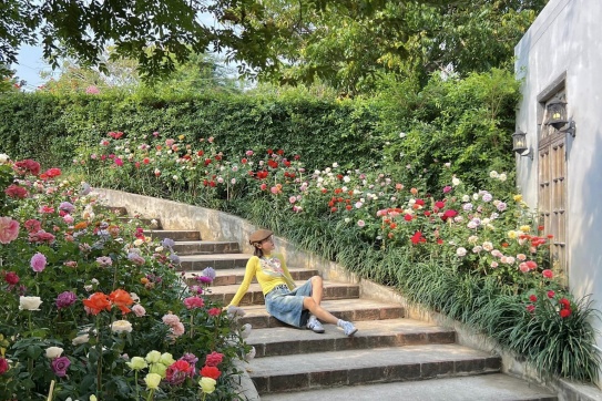 CHIANGMAI COFFEE TOUR