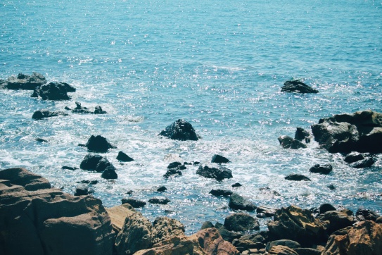 Vi vu biển Bãi Đông (Thanh Hóa) nhưng không hề “đông”!