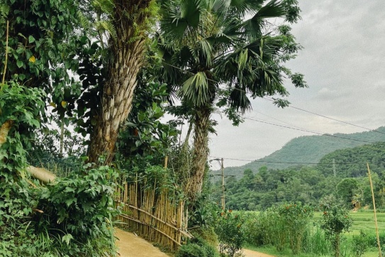 Thì ra Thanh Hoá có rất nhiều Pù Luông thu nhỏ!