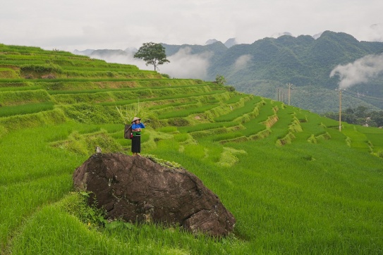 Pù Luông | Ubud Bali thu nhỏ bình an của xứ Thanh