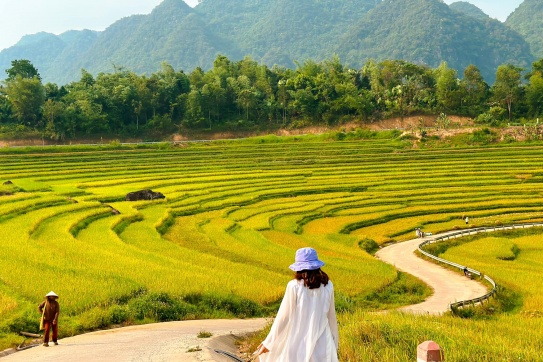 Pù Luông | Mùa lúa chín