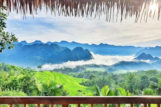 Check-in Pù Luông mùa lúa “đi trên mùa vàng”