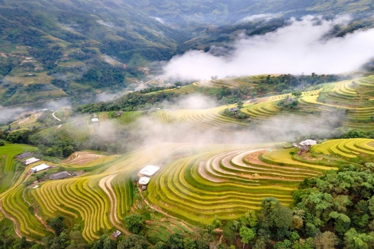 Check-in ruộng bậc thang núi rừng hùng vĩ tại Thanh Hóa