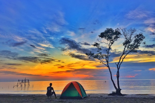 Không phải Đà Lạt mà Tiền Giang cũng có cây cô đơn… giữa biển