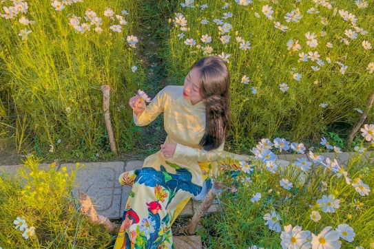 Vườn hoa Mãn Đình Hồng - Phước Thạnh - Châu Thành - Tiền Giang