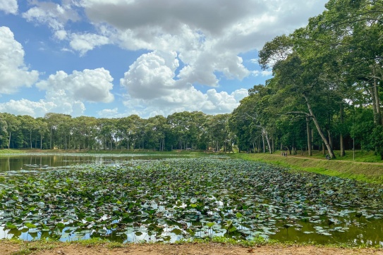 Tìm về thiên nhiên với Ao Bà Om xanh mát (Trà Vinh)