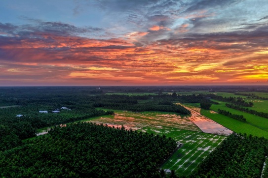 Nghe nói Trà Vinh là địa phương có chất lượng không khí sạch nhất Đông Nam Á.