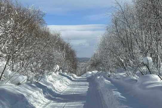 Cáp Nhĩ Tân | “Moscow Phương Đông” và những lần đầu tiên