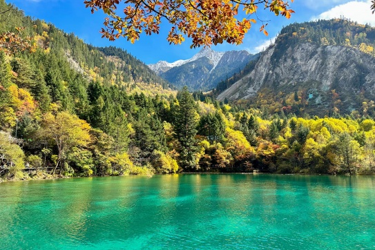 Cửu Trại Câu ....