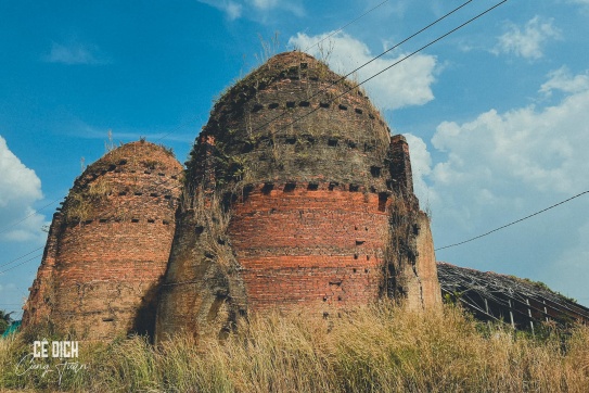 “Vương quốc đỏ” bên dòng Cổ Chiên (Vĩnh Long)