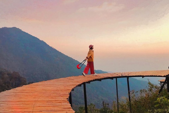 Mặc sức check-in với “thiên đường sống ảo” Cầu Mây (Tam Đảo)