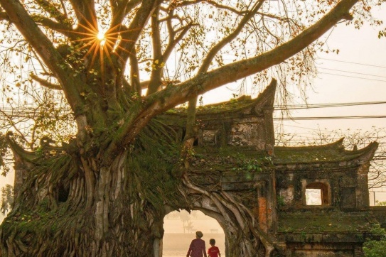 Đình làng Phú Hậu 