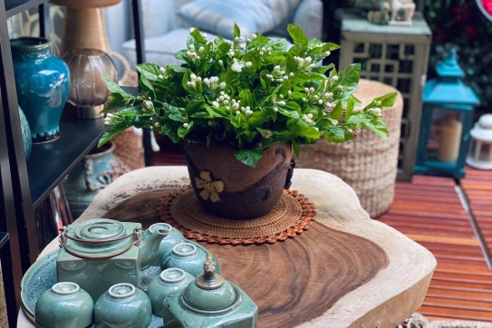 Làng gốm Hương Canh 