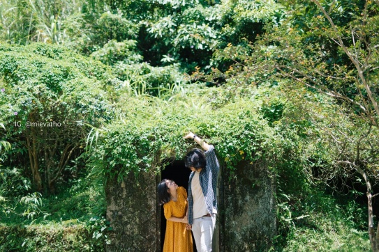 Bạn đã biết những góc check-in xanh mướt tại Tam Đảo chưa?!