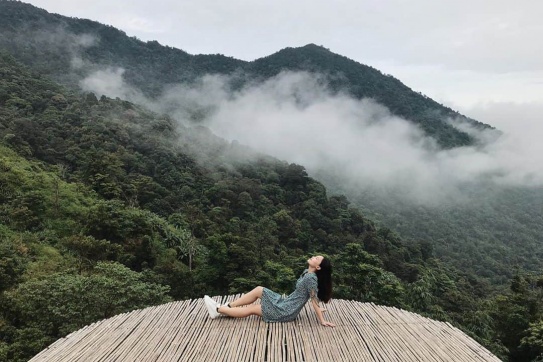 TOP 12+ điều NÊN THỬ tại Tam Đảo - “Đà Lạt thu nhỏ” xanh và xinh