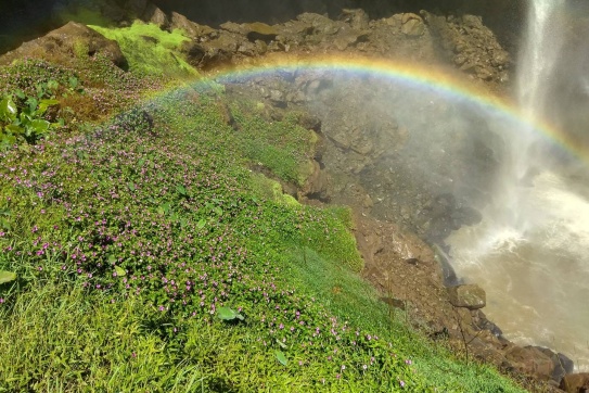 Bạn Check-in 10 Thác Nước Đẹp Nhất Việt Nam Chưa