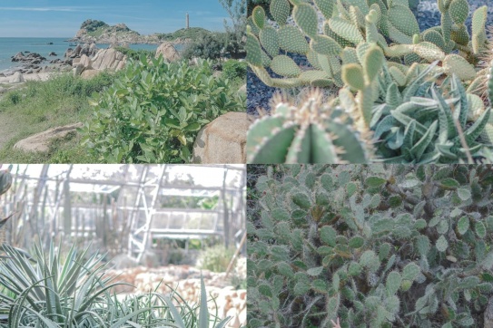 Hành trình trăng mật 10 ngày qua 12 tỉnh thành 