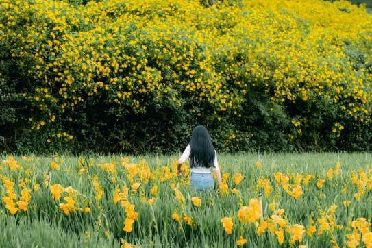 Cẩm nang du lịch 12 tháng khắp Việt Nam