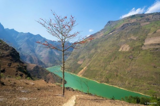 Nghe đồn nếu check-in 16 “cây cô đơn” này sẽ hết ế!