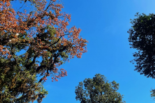 “Vì Đất Nước mình còn lạ, cần chi đâu nước ngoài”