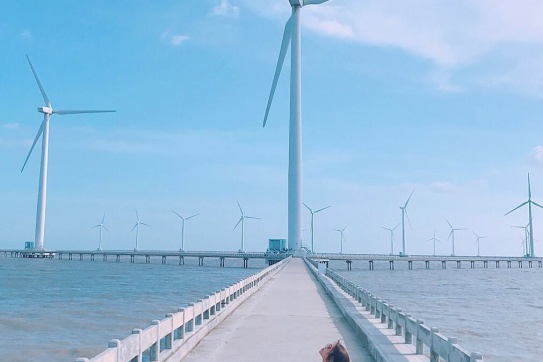 Điểm danh 5 cánh đồng quạt gió check-in cực xinh xẻo